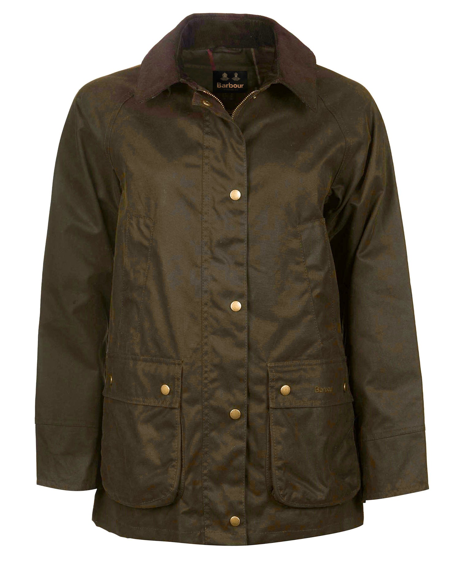 BARBOUR Oljerock Acorn vax